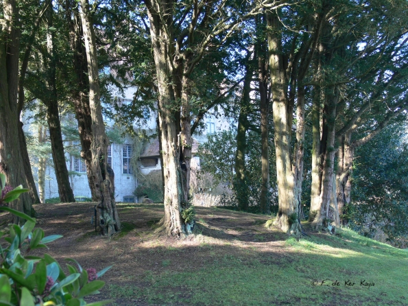 Bois des Moutiers (13) mars 2012